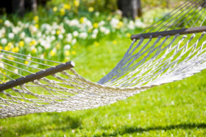 Hammock in a sunny yard