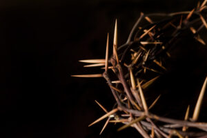 a crown of thorns