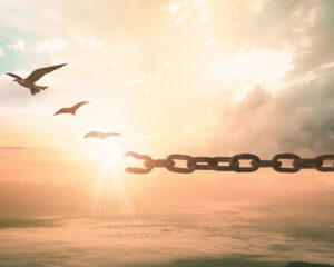 flying free from a chain