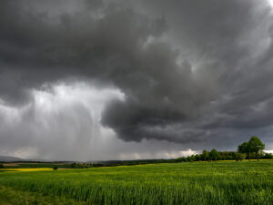 dark clouds over a field