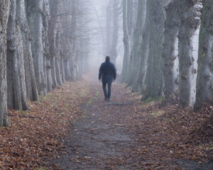 A man walking alone in the woods